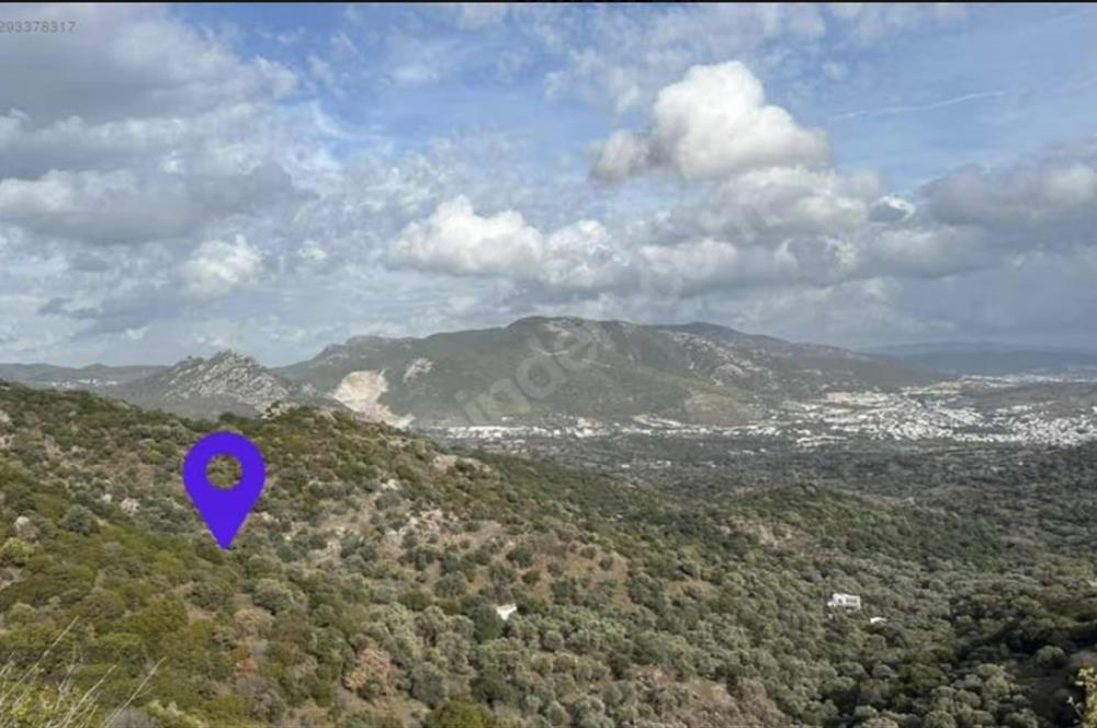 Bodrum Gürecede 12.547 m² Tek Tapu Tarla | Yatırımlık Fırsat