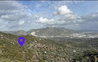 Bodrum Gürecede 12.547 m² Tek Tapu Tarla | Yatırımlık Fırsat