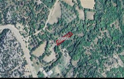Antalya İbradi Ormana'da 792,66 m² FIRSAT Satılık Bağ
