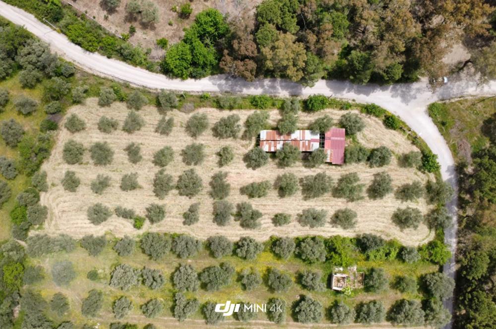 CENTURY21 POYRAZ'DAN ÇATALCADA DOĞAYLA İÇ İÇE YAŞAM FIRSATI!