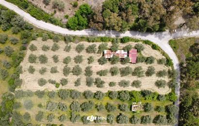 CENTURY21 POYRAZ'DAN ÇATALCADA DOĞAYLA İÇ İÇE YAŞAM FIRSATI!
