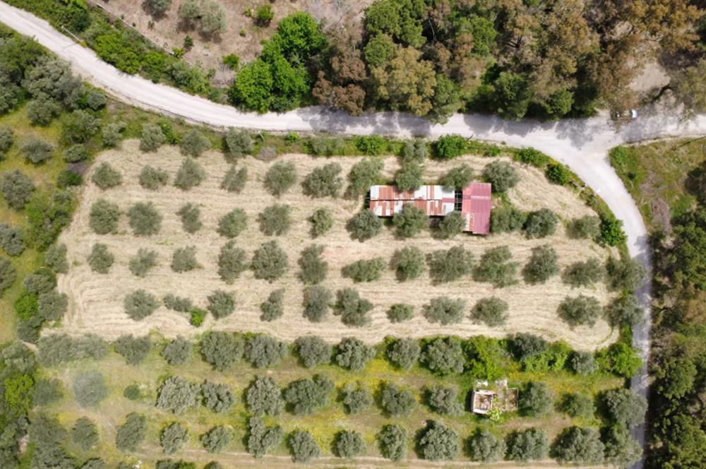 CENTURY21 POYRAZ'DAN ÇATALCADA DOĞAYLA İÇ İÇE YAŞAM FIRSATI!