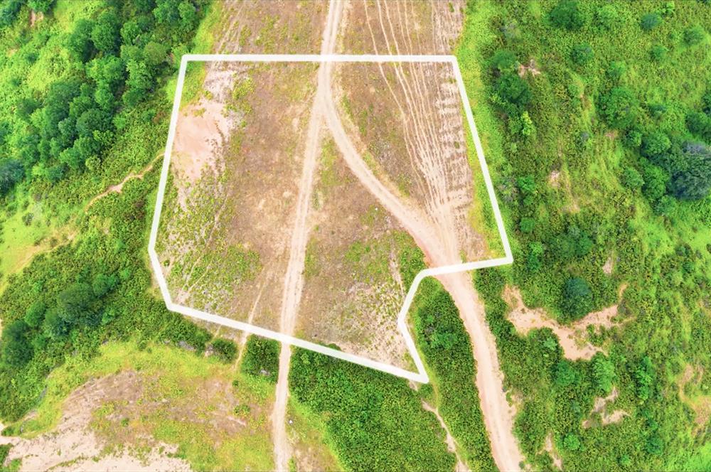 C21 Cius; BURSA GEMLİK ŞAHİNYURDU'NDA 4.175m² SATILIK TARLA