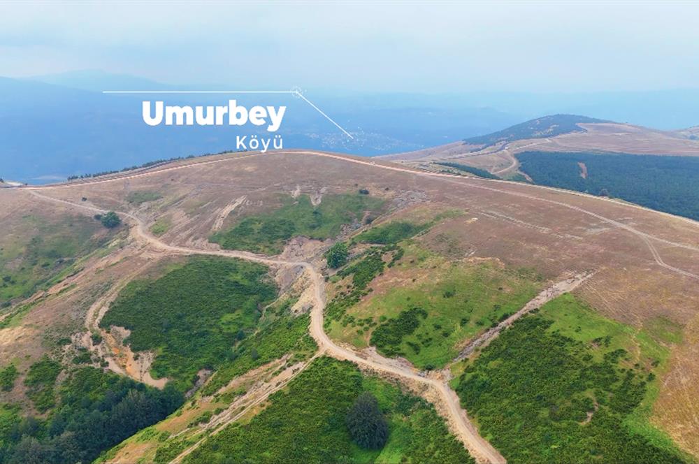 C21 Cius; BURSA GEMLİK ŞAHİNYURDU'NDA 4.175m² SATILIK TARLA