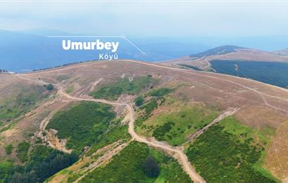 C21 Cius; BURSA GEMLİK ŞAHİNYURDU'NDA 4.175m² SATILIK TARLA