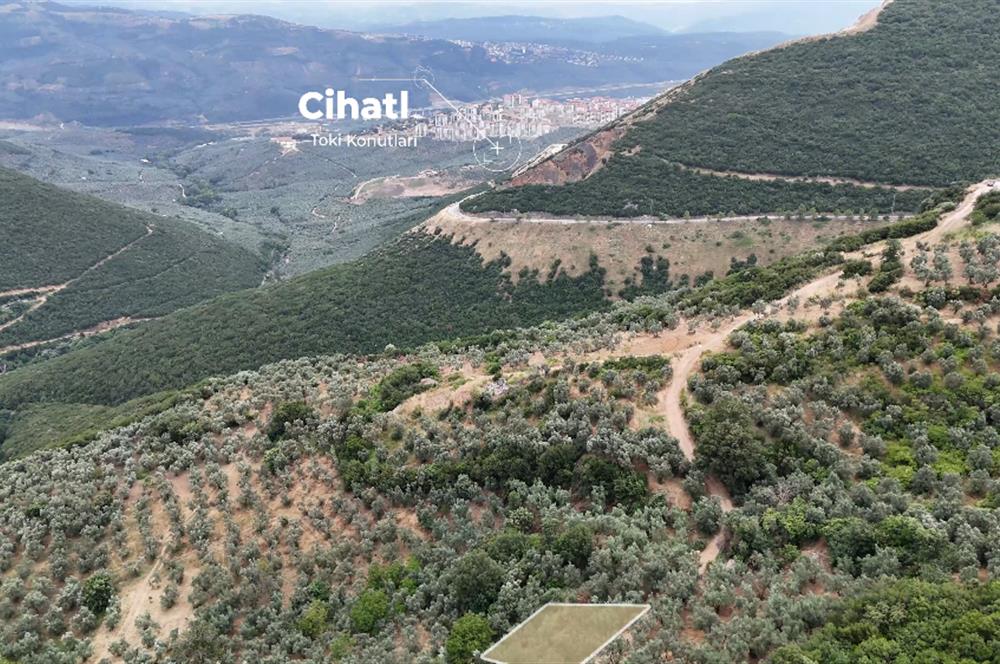 C21cius; 99mt² Satılık Hobi Bahçesi