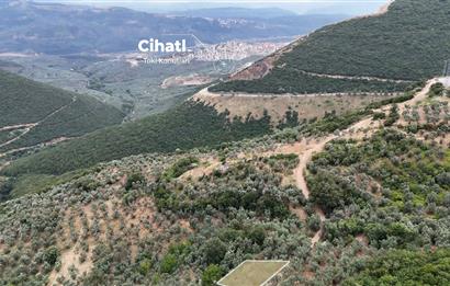 C21cius; 99mt² Satılık Hobi Bahçesi