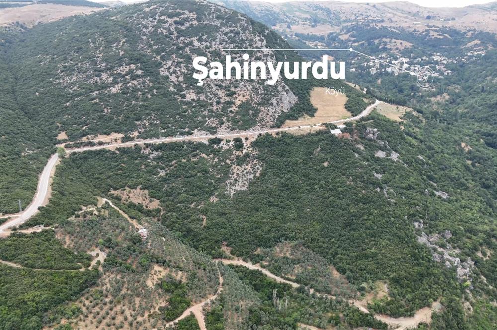 C21cius; 99mt² Satılık Hobi Bahçesi