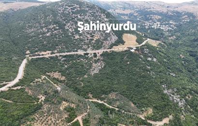 C21cius; 99mt² Satılık Hobi Bahçesi