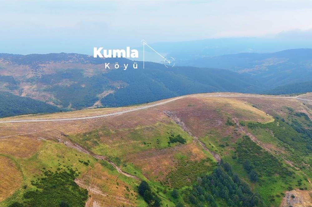 C21 Cius; BURSA GEMLİK ŞAHİNYURDU'NDA 4.175m² SATILIK TARLA