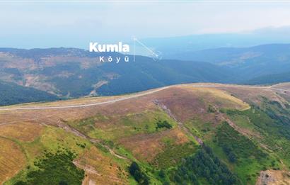 C21 Cius; BURSA GEMLİK ŞAHİNYURDU'NDA 4.175m² SATILIK TARLA