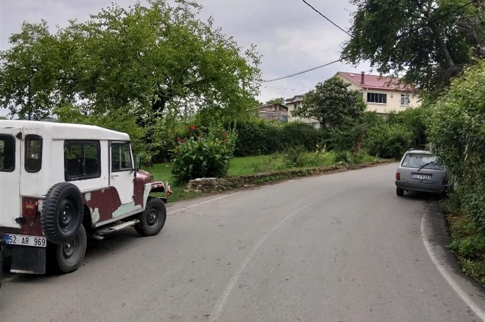 📍 ORDU ALTINORDU ŞAHİNCİLİ MAHALLESİ'NİN YANI BAŞINDA ÖCELİ MAH'DE YÜKSEK POTANSİYELLİ YATIRIM ARSASI
