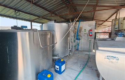 CENTURY21 POYRAZ'DAN FIRSAT FİYATINA ACİL SATILIK ÇİFTLİK