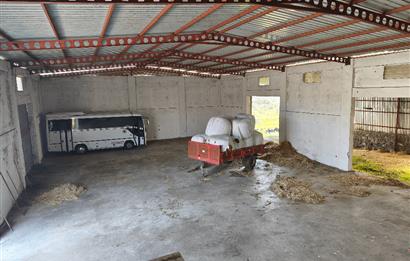CENTURY21 POYRAZ'DAN FIRSAT FİYATINA ACİL SATILIK ÇİFTLİK