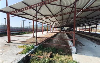 CENTURY21 POYRAZ'DAN FIRSAT FİYATINA ACİL SATILIK ÇİFTLİK