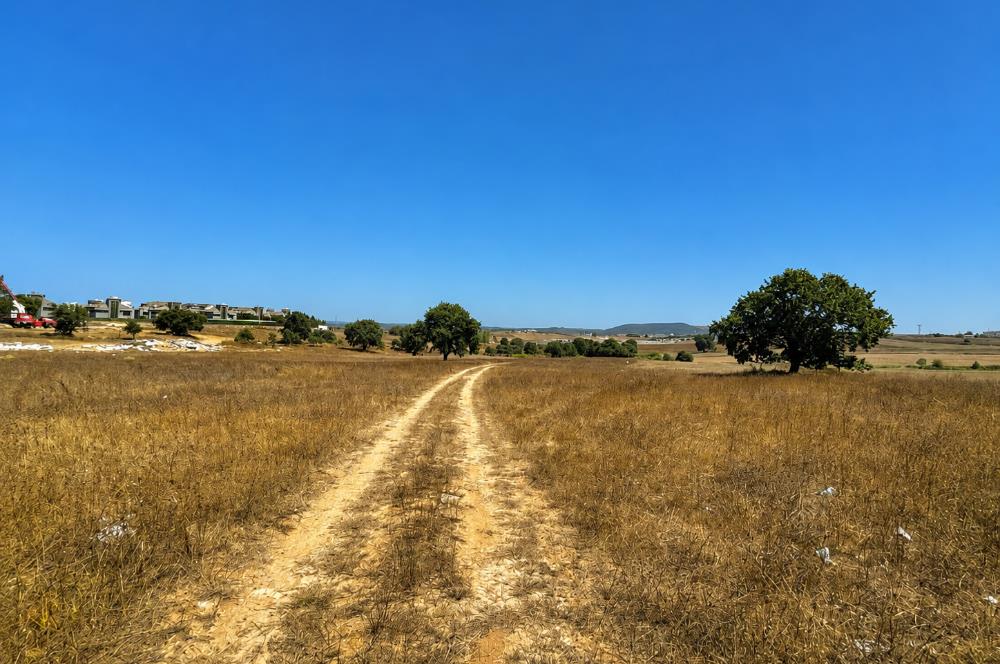 TUZLA TEPEÖREN İMARLI EMSALR TRANSFERİNE UYGUN 3975 M2ARSA