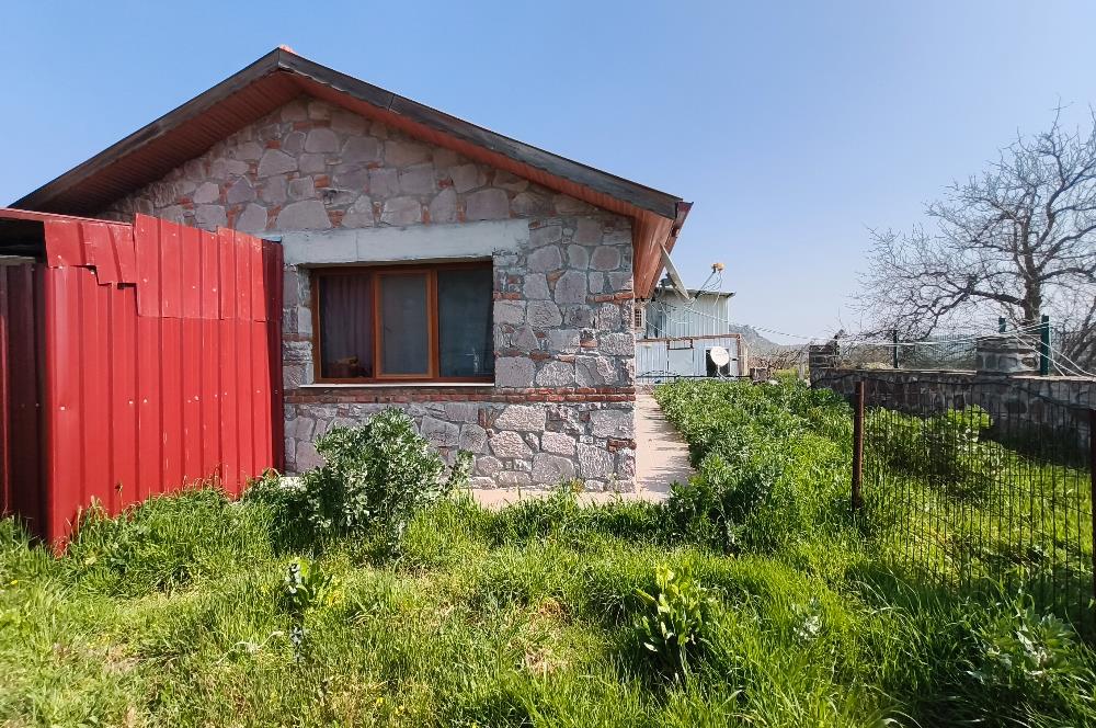 CENTURY21 POYRAZ'DAN FIRSAT FİYATINA ACİL SATILIK ÇİFTLİK