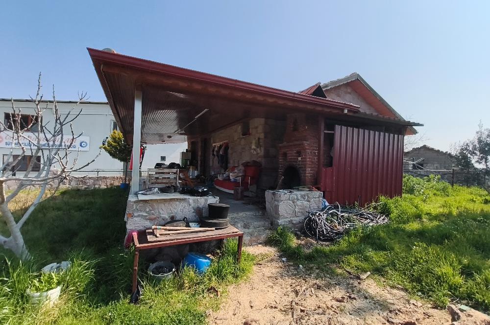 CENTURY21 POYRAZ'DAN FIRSAT FİYATINA ACİL SATILIK ÇİFTLİK