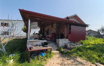 CENTURY21 POYRAZ'DAN FIRSAT FİYATINA ACİL SATILIK ÇİFTLİK