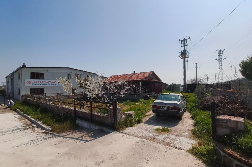 CENTURY21 POYRAZ'DAN FIRSAT FİYATINA ACİL SATILIK ÇİFTLİK