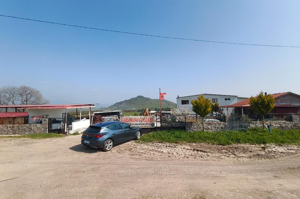 CENTURY21 POYRAZ'DAN FIRSAT FİYATINA ACİL SATILIK ÇİFTLİK