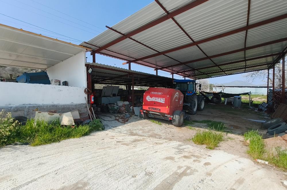 CENTURY21 POYRAZ'DAN FIRSAT FİYATINA ACİL SATILIK ÇİFTLİK