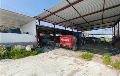 CENTURY21 POYRAZ'DAN FIRSAT FİYATINA ACİL SATILIK ÇİFTLİK