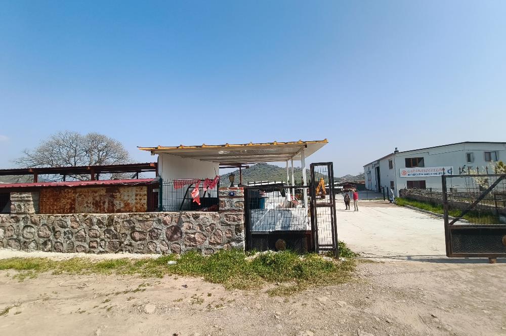 CENTURY21 POYRAZ'DAN FIRSAT FİYATINA ACİL SATILIK ÇİFTLİK