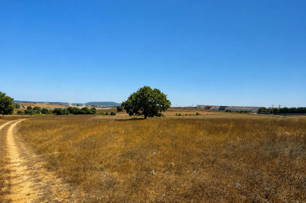 TUZLA TEPEÖREN İMARLI EMSALR TRANSFERİNE UYGUN 3975 M2ARSA