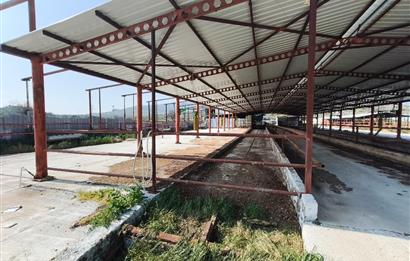 CENTURY21 POYRAZ'DAN FIRSAT FİYATINA ACİL SATILIK ÇİFTLİK