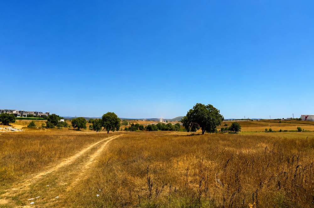 TUZLA TEPEÖREN İMARLI EMSALR TRANSFERİNE UYGUN 3975 M2ARSA