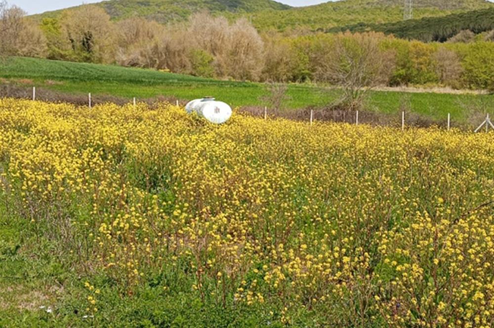 Çatalca Akalan'da 2000m² ResmiYollu, Prefabrikli Hazır Bağ Bahçe
