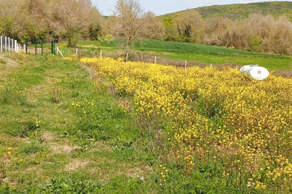 Çatalca Akalan'da 2000m² ResmiYollu, Prefabrikli Hazır Bağ Bahçe