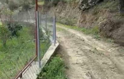 İzmir Menderes Yeniköy'de Satılık Fırsat Zeytinlik