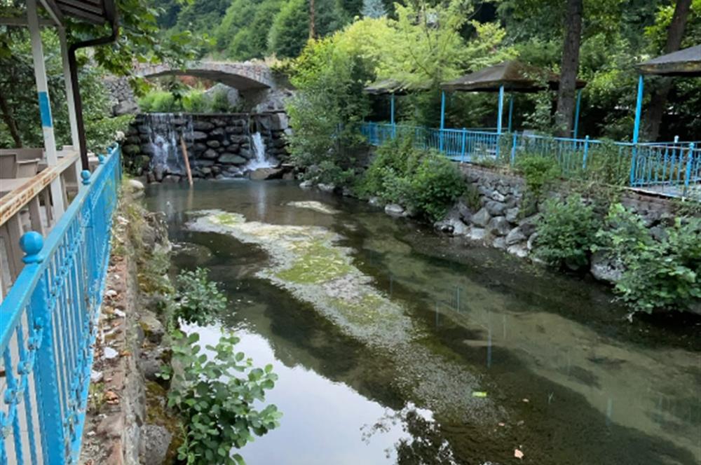 SAPANCA'NIN GÖZDE KONUMUNDA RESTORAN İŞLETMELİ TİCARİ ARSA