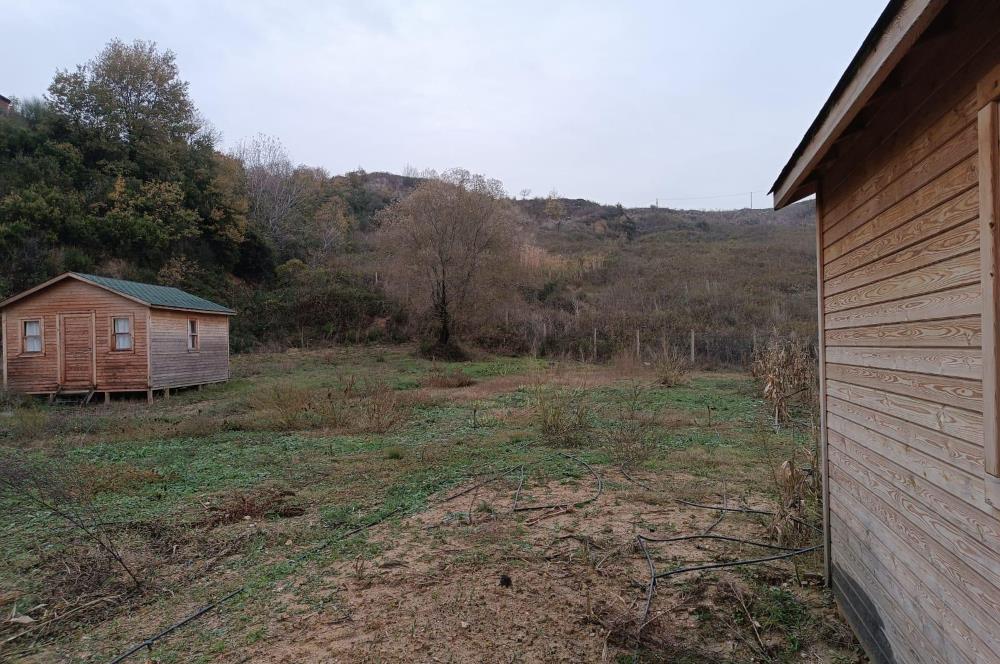 Doğa Turizmi ve Kamping Projelerine Uygun 7.202 m² Kiralık Arsa