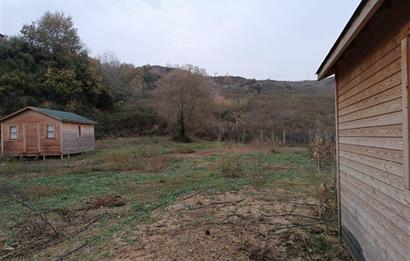 Doğa Turizmi ve Kamping Projelerine Uygun 7.202 m² Kiralık Arsa