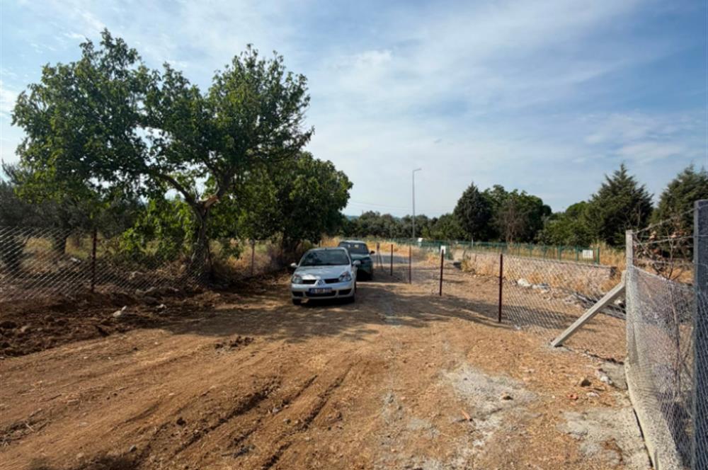Menderes Dereköy'de Elektrikli ve Yolu Açılmış Satılık Tarla