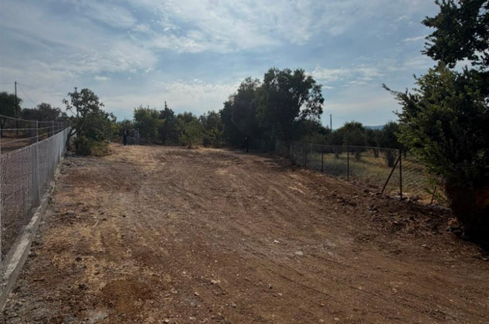 Menderes Dereköy'de Elektrikli ve Yolu Açılmış Satılık Tarla