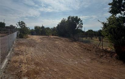 Menderes Dereköy'de Elektrikli ve Yolu Açılmış Satılık Tarla