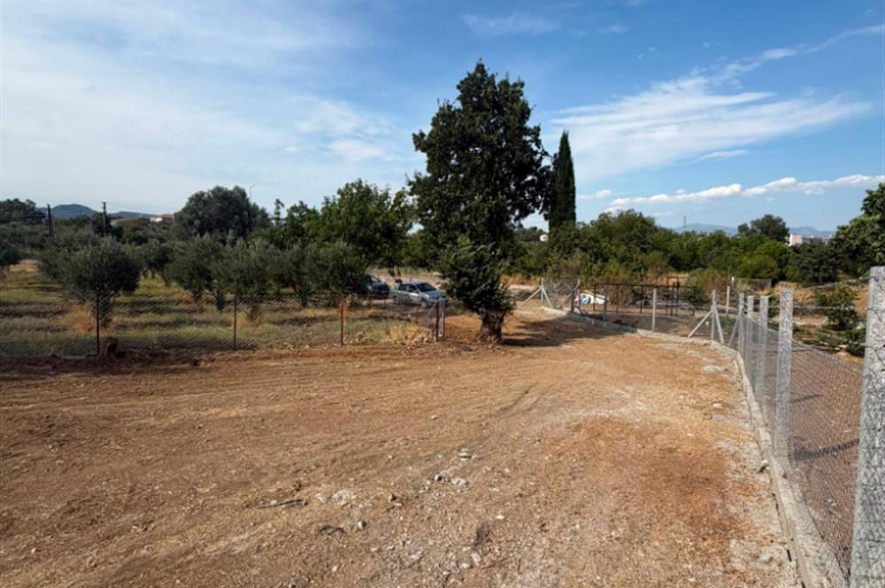 Menderes Dereköy'de Elektrikli ve Yolu Açılmış Satılık Tarla