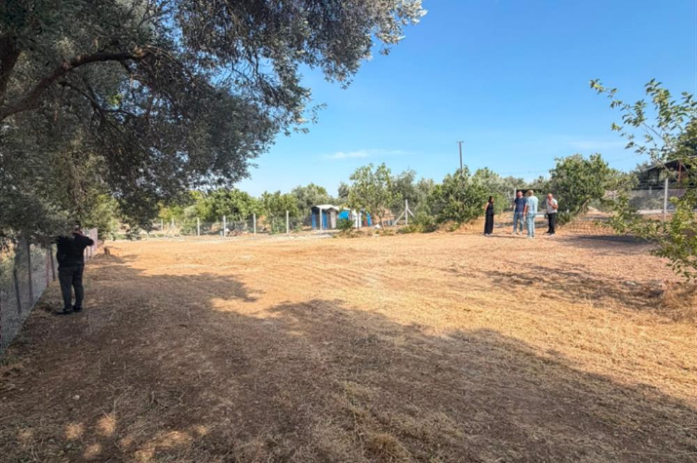 Menderes Dereköy'de Elektrikli ve Yolu Açılmış Satılık Tarla