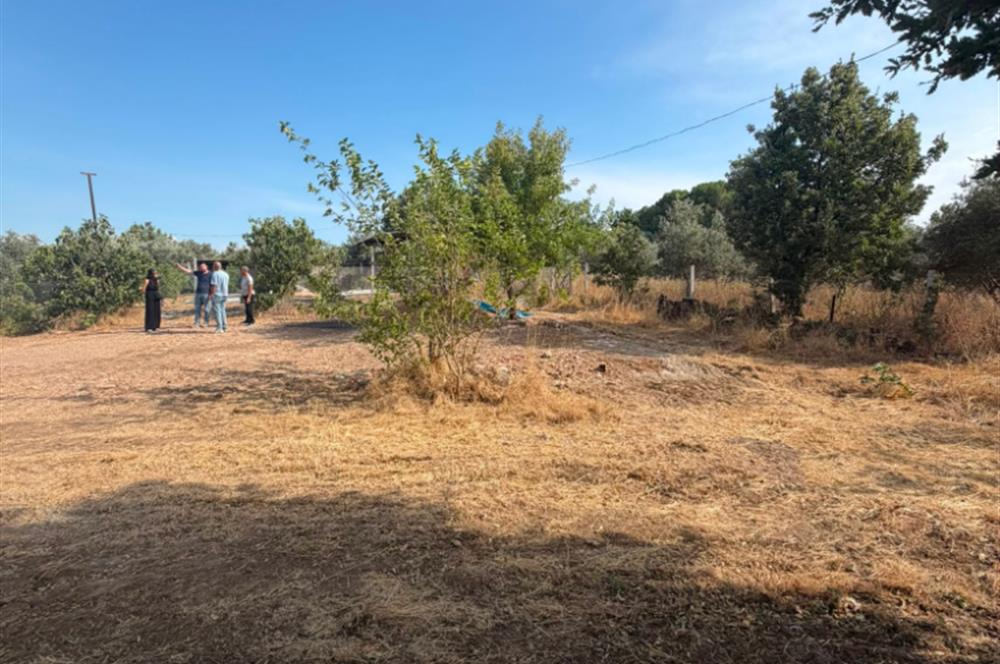 Menderes Dereköy'de Elektrikli ve Yolu Açılmış Satılık Tarla