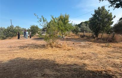 Menderes Dereköy'de Elektrikli ve Yolu Açılmış Satılık Tarla