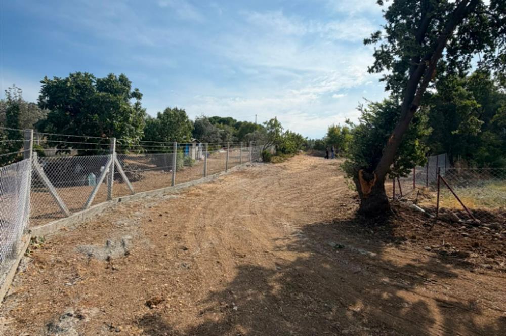 Menderes Dereköy'de Elektrikli ve Yolu Açılmış Satılık Tarla