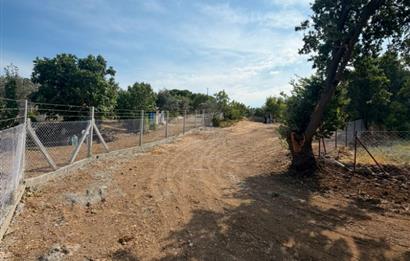 Menderes Dereköy'de Elektrikli ve Yolu Açılmış Satılık Tarla