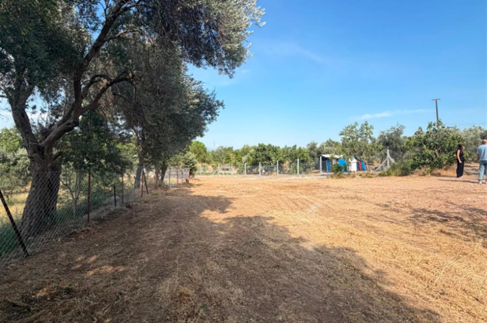 Menderes Dereköy'de Elektrikli ve Yolu Açılmış Satılık Tarla