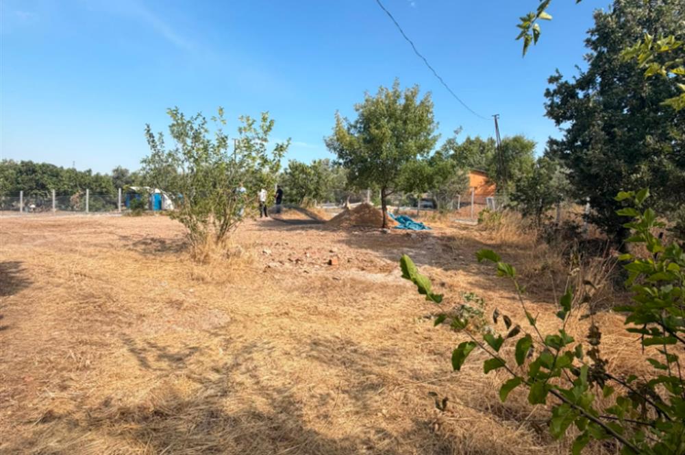 Menderes Dereköy'de Elektrikli ve Yolu Açılmış Satılık Tarla