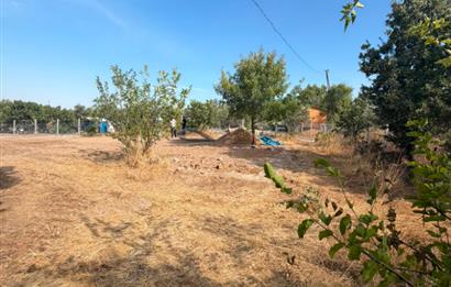 Menderes Dereköy'de Elektrikli ve Yolu Açılmış Satılık Tarla
