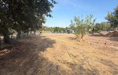 Menderes Dereköy'de Elektrikli ve Yolu Açılmış Satılık Tarla